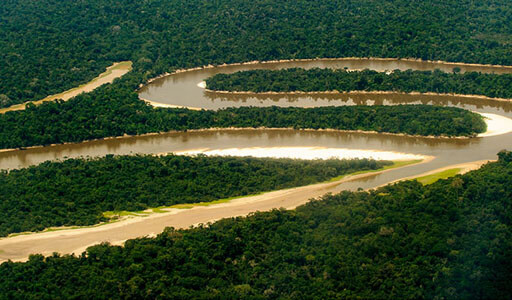 Rivière d'Amazonie sur la rive péruvienne.