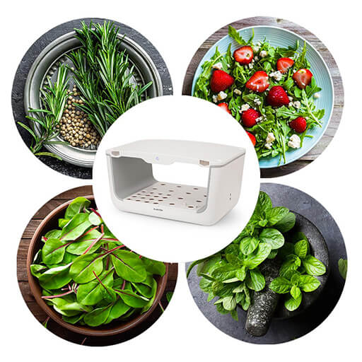 GrowIt Farm Smart Indoor Garden