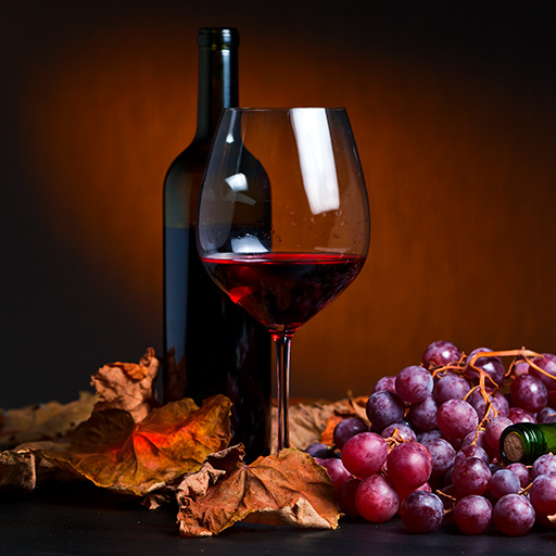 klarstein viticulture red wine