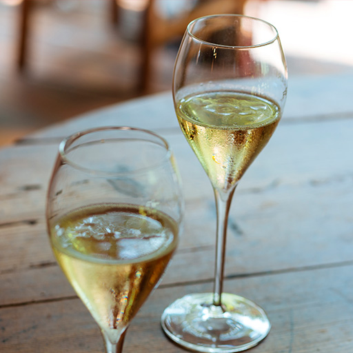 klarstein viticulture semi-sparkling wine